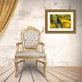 thumbnail image 3 of Jaynes Gallery 32x23 Gold Ornate Wood Framed with Double Matting Museum Art Print Titled - USA-Oregon-Silver Falls State Park Stellers jay on branch, 3 of 4