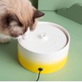 thumbnail image 3 of Pet water dispenser ceramic pet water bowl automatic circulation drinking water, 3 of 4