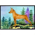 thumbnail image 1 of Carolines Treasures SS8660MAT Tapis de Porte Intérieur Min. 18 x 27 Po, 1 of 4