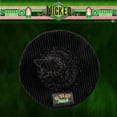 thumbnail image 4 of Cojín decorativo Franco Collectibles Wicked Elphaba, 4 of 7