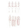 thumbnail image 1 of 8pcs Moda Dibujo Plantilla Plantilla Conjunto Regla, de Mujeres Humanoide Patrones , Ropa MEDICIÓN MEDICION FRANCE CURVA RULERS A4 Patró Gloria Regla de diseño de ropa, 1 of 9