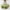 G-Green, variant on Christmas Xmas New 2024 Pet Dog Cat Dress Girl Dog Sweaters Fruit Princess Summer Breathable Medium Dog Clothes Boy Dress Clothes G-Green XS