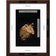 thumbnail image 3 of Leopard Panthera Pardus, Madikwe Game Reserve, South Africa, Africa, Animals Framed Art Print Wall Art by Ann and Steve Toon Sold by Art.Com, 3 of 6