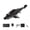 8K Camera Edition, variant on RC Mosasaur Water Vehicle with Water Spray, 2.4GHz Waterproof Remote Control Boat with LED Light for Swimming Pool Lake Bathroom