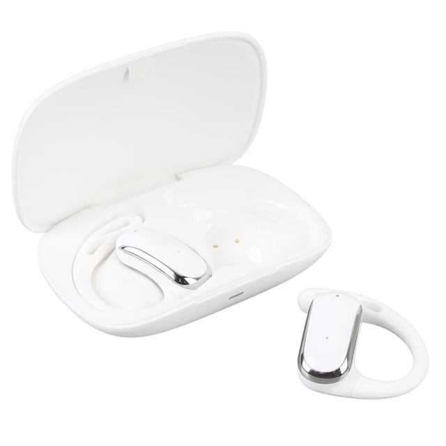 Real Time Translator Earbuds, 74 Languages and 70 Accents, Offline Translation for Travel Business Learning