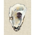 thumbnail image 2 of Willett, Michael 26x32 Gold Ornate Wood Framed with Double Matting Museum Art Print Titled - Oyster Shell Study III, 2 of 4