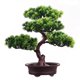thumbnail image 1 of Árbol de pino bonsái artificial, decoración de plantas artificiales Zen, plantas artificiales en macetas for decoración, exhibición de escritorio, 1 of 2