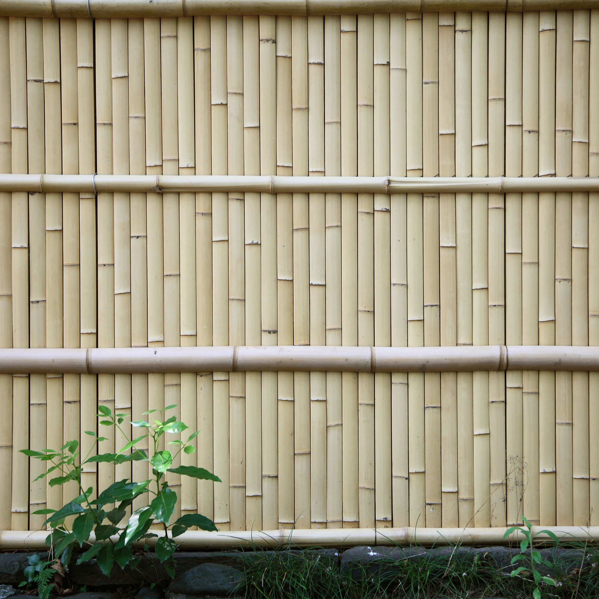 Backyard X-Scapes Natural Bamboo Slats 1.75" W x 6' L (25-Pack)