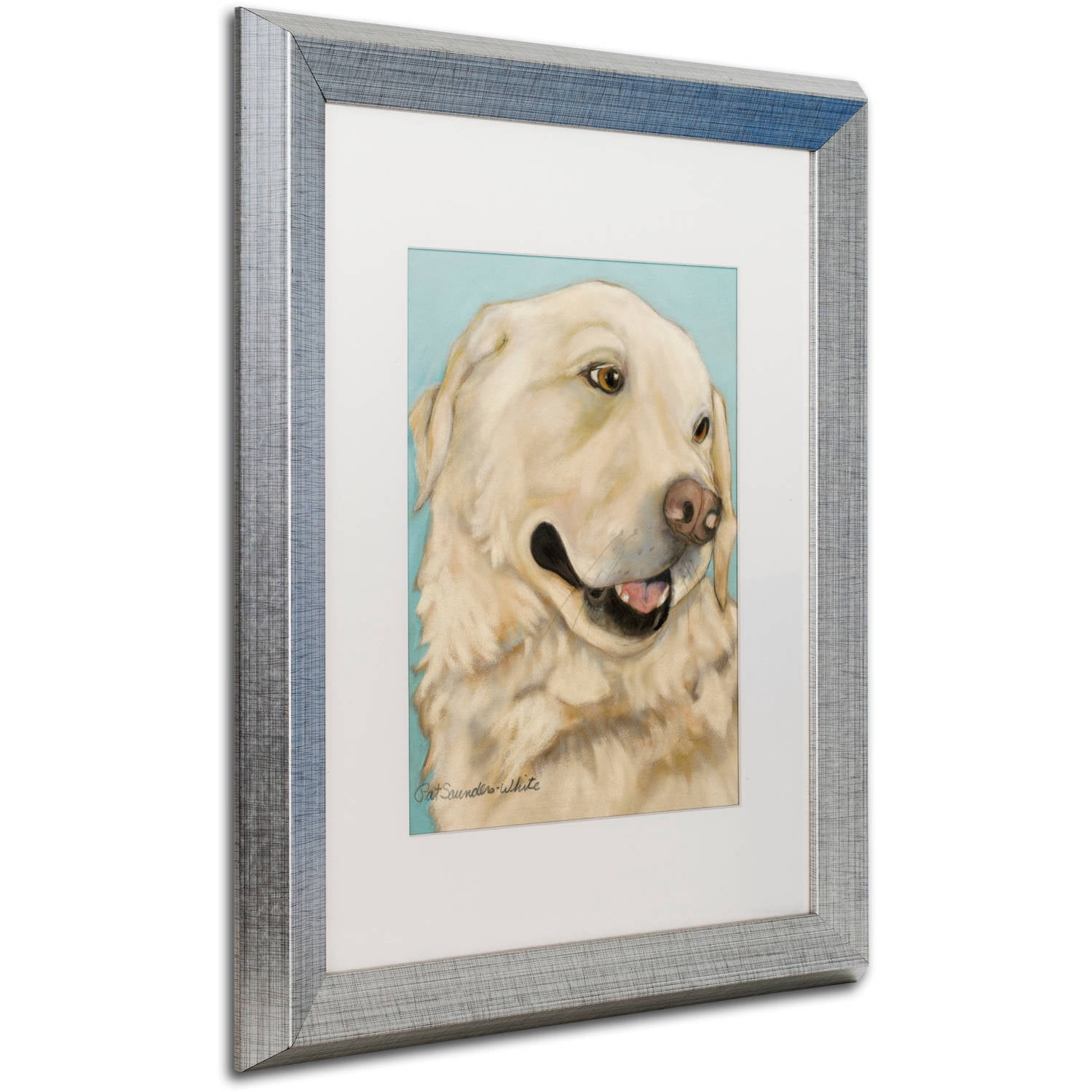 Trademark Fine Art "Jasper" Canvas Art by Pat Saunders-White, White Matte, Silver Frame