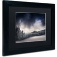 thumbnail image 2 of Trademark Fine Art "Blowin In The Wind" Canvas Art by Philippe Sainte-Laudy, Black Matte, Black Frame, 2 of 4