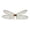 Coffee, variant on Adult Fairy Wings Shimmer Sheer Sparkle Dress Up Wings for Halloween Carnival Party Stage Events