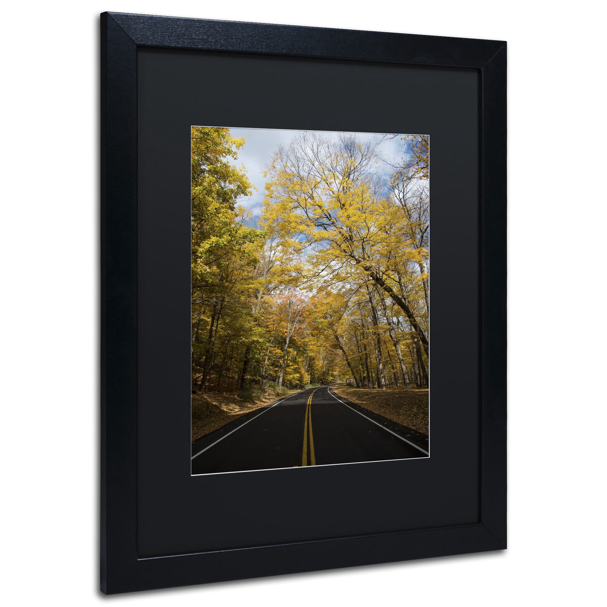 Trademark Fine Art "Autumn Along the Valley Parkway 2" Canvas Art by Kurt Shaffer, Black Matte, Black Frame