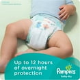 thumbnail image 3 of Pampers Baby Dry Diapers, Size 5, 84 Diapers, 3 of 7