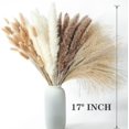 thumbnail image 3 of 10 PCS 40" Tall Pampas Grass Stems in Natural Beige, Add a Boho Touch to Your Space—Pompas Grass Ideal for Floral Arrangements, Floor Vases, Weddings, and Creating a Bohemian Ambiance at Home., 3 of 6
