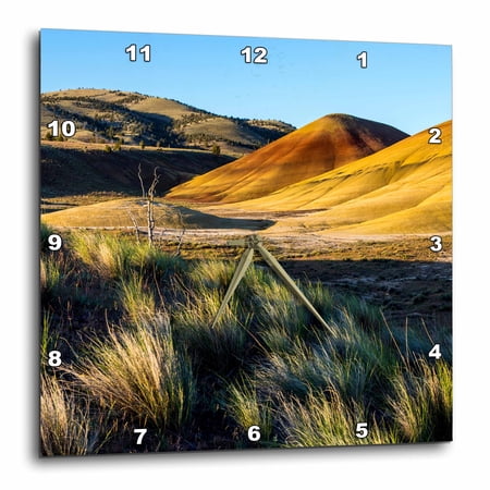3drose, the Painted Hills, John Day Fossil Beds Nm Near Mitchell, Oregon, Usa, 10x10 Wall Clock