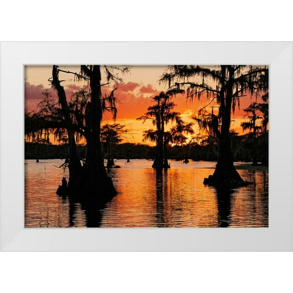 Jones, Adam 14x11 White Modern Wood Framed Museum Art Print Titled - Bald cypress trees silhouetted at sunset Caddo Lake-Uncertain-Texas