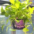 thumbnail image 3 of koolsoo Hanging Railing Planter Baskets Flower Pot Holder Hanger Iron Potted Plants Rack Black, 3 of 7