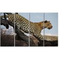 thumbnail image 2 of Leopard Walking on Tree - African Canvas Art Print, 2 of 3