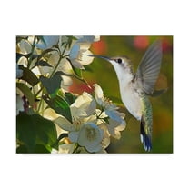 Trademark Fine Art 'The Flower Dance II' Canvas Art by Leda Robertson