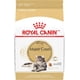 thumbnail image 1 of Royal Canin Alimento Breed Health para Gato Maine Coon 6.36kg, 1 of 5