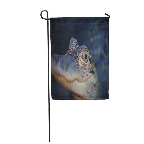 SIDONKU Blue Acute Baby Gator Eye Alligator Amphibian Arts Big Garden Flag Decorative Flag House Banner 28x40 inch