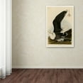 thumbnail image 3 of Trademark Fine Art 'Black Backed Gullplate 241' Canvas Art by Audubon, 3 of 3
