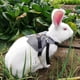 thumbnail image 3 of Fashinable cómodo conejo traje arnés correa lindo conejito chaleco arnés, 3 of 8