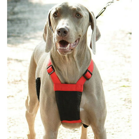 Sporn Non-Pulling Mesh Harness, Large/X-Large -