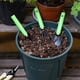 thumbnail image 4 of Herramientas de jardinería portátiles, 5 piezas, pala, rastrillo, tijeras de podar, juego de riñonera para plantar flores suculentas, aparato de jardinería, 4 of 9