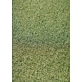 thumbnail image 1 of Ahgly Company Indoor Rectangle Patterned Avocado Green Novelty Area Rugs, 6' x 9', 1 of 6