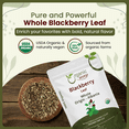 thumbnail image 3 of Organic Way Dried Blackberry Leaf Whole - Herbal Tea | European Wild-Harvest | Organic & Kosher Certified | Raw, Vegan, Non GMO & Gluten Free | USDA Certified | Origin - Albania (1/4 lbs / 4 oz), 3 of 9