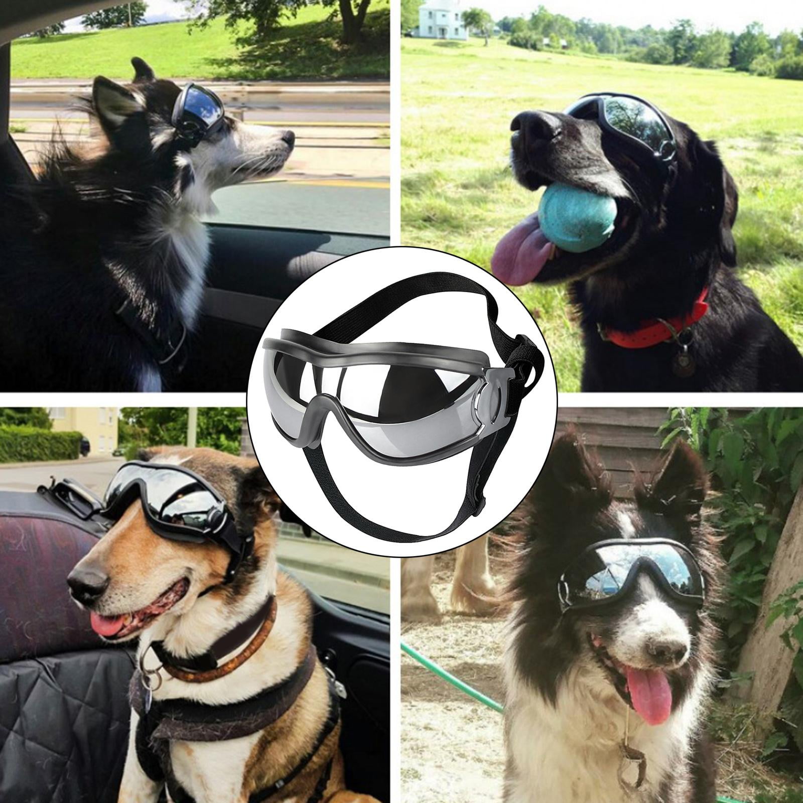 sunglasses goggles Global Vision Big Ben Fit Over Sport Black Frame Yellow Tint Lenses Füllung:Champgnertrüffel Die Cube Acid 260 Surly and polarized blue lenses