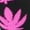Black/Hot Pink, variant on Women's Leaf Print Socks 537-BLACK/HOTPINK