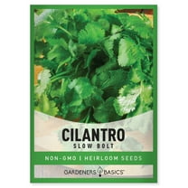 Slow Bolt Cilantro Seeds