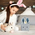 thumbnail image 5 of Update Easter Home Party Supplies Game Basket Doll Fabric Basket Indoor Decoration Easter Basket for Boys 11 Years Old, 5 of 5