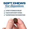 thumbnail image 2 of The Healthypup Co – Gut Support – Soft Functional Dog Treats with Prebiotics & Pumpkin, 4-oz bag, 2 of 8