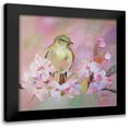 thumbnail image 1 of Zareckaya, Tatiana 20x20 Black Modern Framed Museum Art Print Titled - Greenfinch on the Sink, 1 of 5