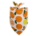 thumbnail image 2 of Naierhg Dog Bandana Fruit Pattern Super Absorbent Cotton Pet Dog Bib for Dining, 2 of 8