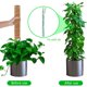 thumbnail image 4 of Poste De Musgo 2 Uds Postes De Tótem De Fibra De Coco Soporte De Plantas Palo De Musgo Apilable Estaca De Planta De Poste De Fibra De Coco Para Escalar Plantas En Macetas De Interior Enredaderas Con 1 Muyoka Hogar, 4 of 7
