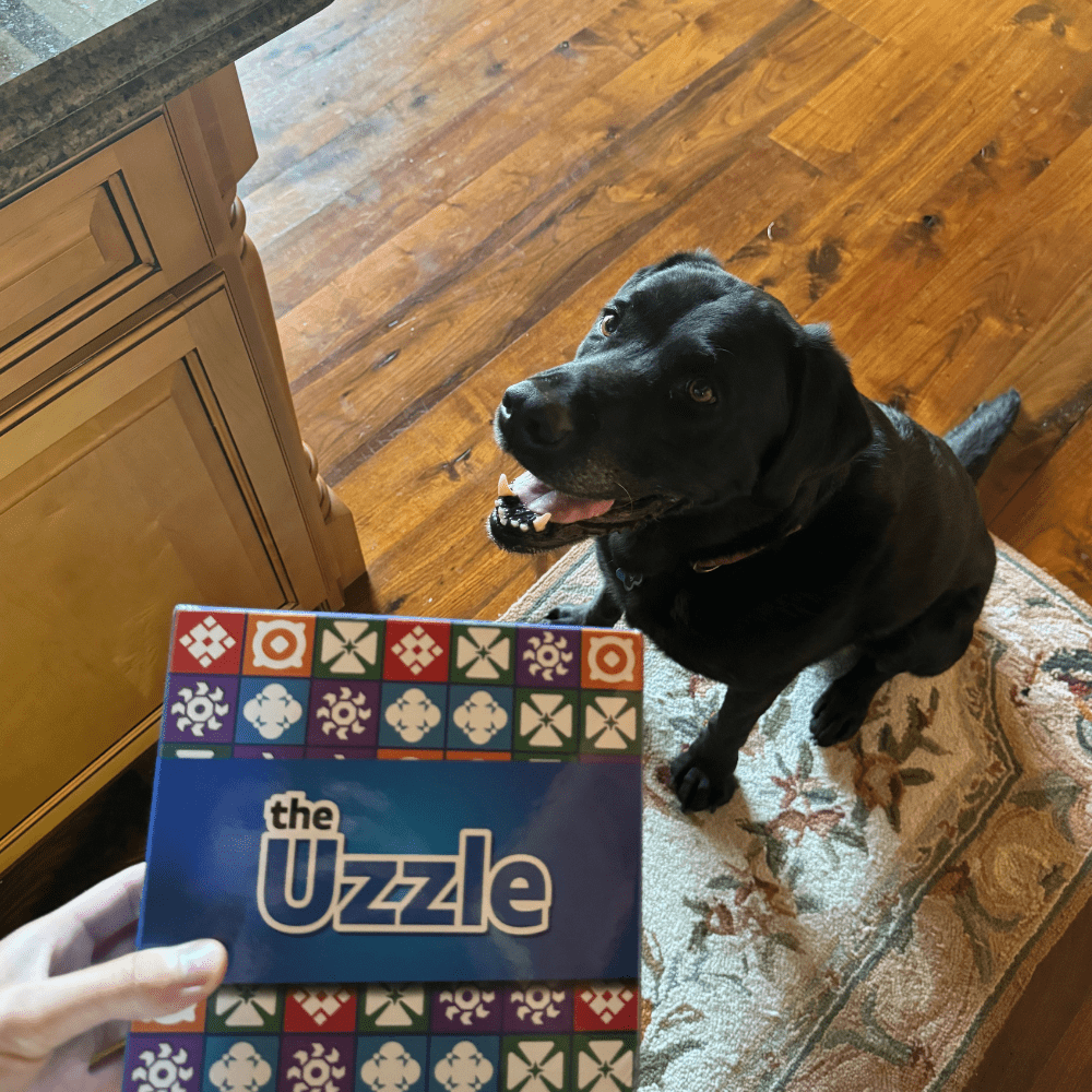 The Uzzle 3.0 Board Game, Family Board Games for Children & Adults, Block Puzzle Games for Ages 4+
