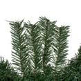 thumbnail image 5 of Vickerman 30" Canadian Pine Artificial Christmas Wreath, Unlit, 5 of 5