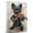 Affenpinscher, variant on Irish Wolfhound Dog Canvas Violin Stretched Canvas Size 8x12 – Funny Irish Wolfhound Dog Canvas Wall Decor, Funny Dog Wall Art for Violin Room