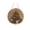Christmas tree, variant on syligr Christmas Diamond Art Kit for Adults, DIY Turtle Hanging Ornament for Front Door Decor, Sparkling Wall Decoration for Window Mantel Porch, Holiday Party Home Accent, Indoor Outdoor, 7.9 Inch