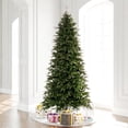 thumbnail image 2 of Vickerman 9' x 50" Green Douglas Fir Artificial Slim Unlit Christmas Tree, 2 of 6