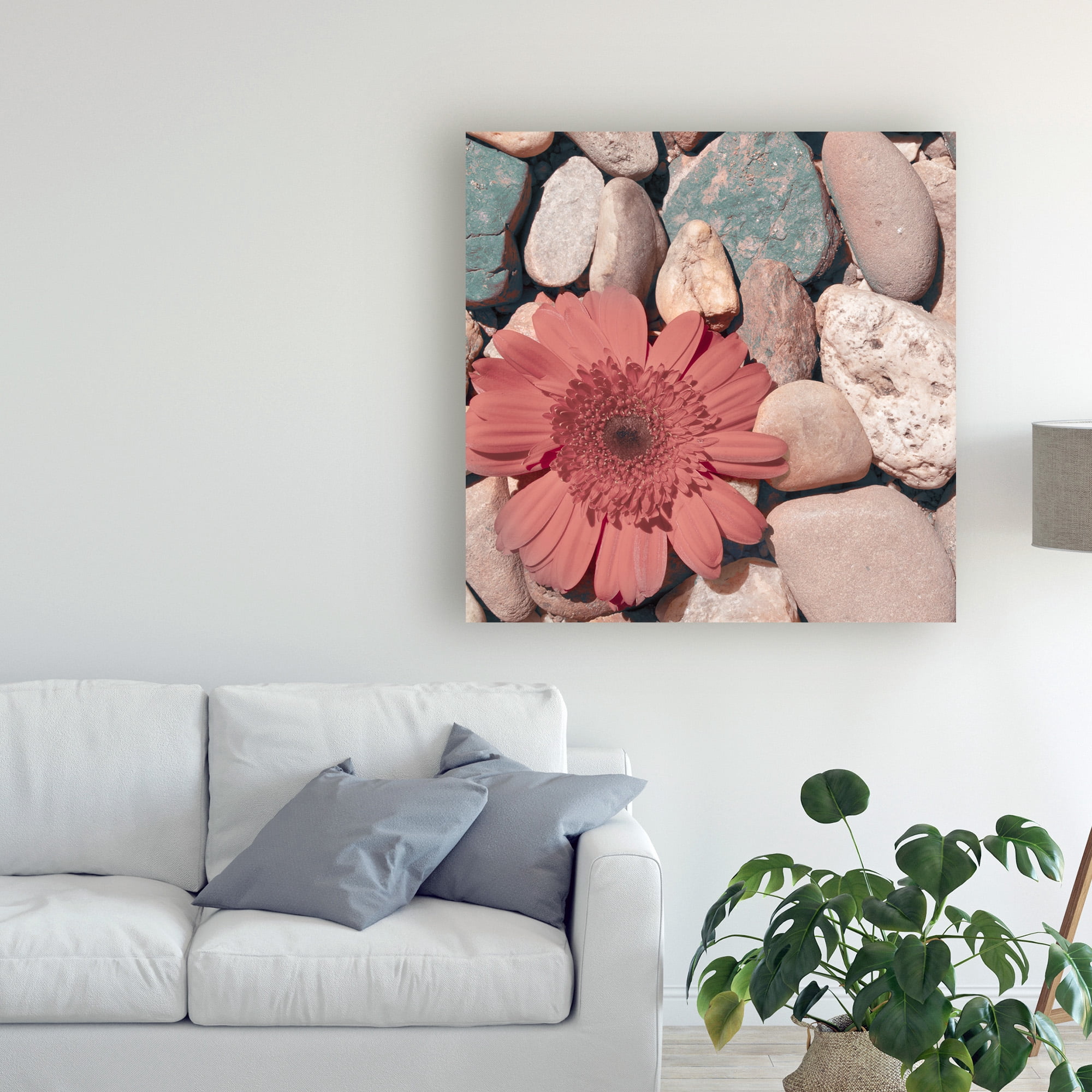 Trademark Fine Art 'Stone Crop I' Canvas Art by Jason Johnson