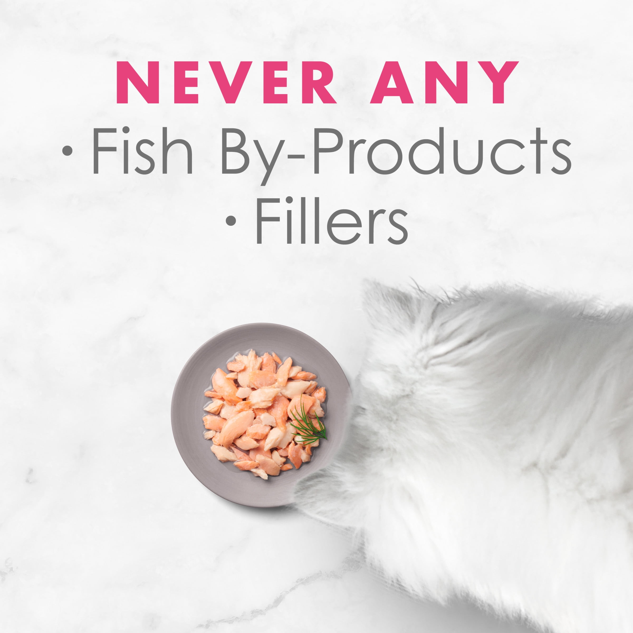 (10 Pack) Fancy Feast Wet Cat Food, Appetizers Steamed Wild Alaskan Salmon in Broth, 1.1 oz, Tray