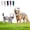 White-100cm, variant on 2027 Dinosaur Skeleton Glow in Dark Dog Cat, 1Pcs Costume Plush Pet Outfit for Medium Large Breeds Party Family Photos Novelty Apparel