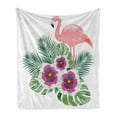 thumbnail image 1 of Hibiscus Soft Flannel Fleece Throw Blanket, Flamingo over Exotic Multicolored Petals, Cozy Plush for Indoor and Outdoor Use, 50" x 70", White Multicolor, by Ambesonne, 1 of 5