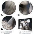 thumbnail image 3 of Designart "Two Alcapas beautyful Guardians II" Animals Metal Wall Art, 3 of 5
