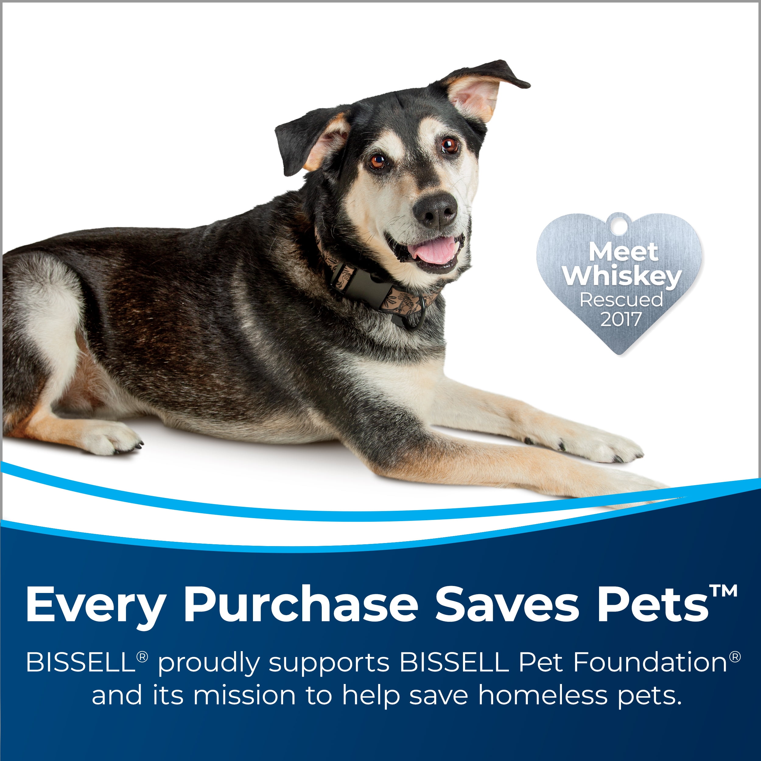 BISSELL Power Force Power Brush Pet Lightweight Carpet Washer - 2910 - 2